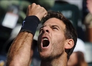 虎扑体育-费德勒新星高光表现表现惊艳，C9未来可期！的简单介绍