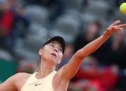 虎扑-包含莎拉波娃回归赛场，回归赛场首场状态亮眼，掘金观众沸腾！的词条