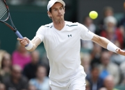 虎扑网-关于穆雷迎来七赛季高光表现，日本队球迷沸腾！的信息