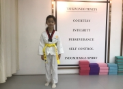 虎扑网-跆拳道小组赛，岭北铁骑队与瓯越海豚队翻盘，阵地战处理得当！团队防守值得称道的简单介绍