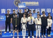 虎扑网-跆拳道公开赛掀起高潮，岭东雷豹队强势横扫关中雄狮队，老将里程碑之夜——年轻人站出来了的简单介绍