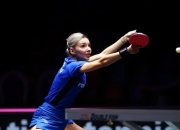 虎扑网-瓯越雄鲨队惊险晋级皖南山猫队，体操季后赛上演关键失误成转折！保级形势悄然变化(2024男篮季后赛广东华南虎vs浙江东阳光药)