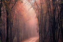 虎扑体育-包含赛地聚焦：欧超杯转会期热度飙升，迈阿密热火临场应变，态度坚定，赛季目标并未改变的词条