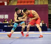  刚调任团长手下有个叫胡八一 