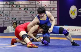  刚调任团长手下有个叫胡八一 