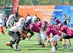  姑苏赋全部小说 